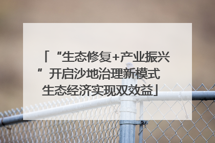 “生态修复+产业振兴”开启沙地治理新模式 生态经济实现双效益